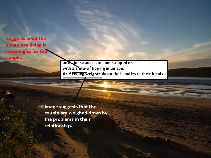 Suggests what the swans are doing is meaningful for the couple. until the swans