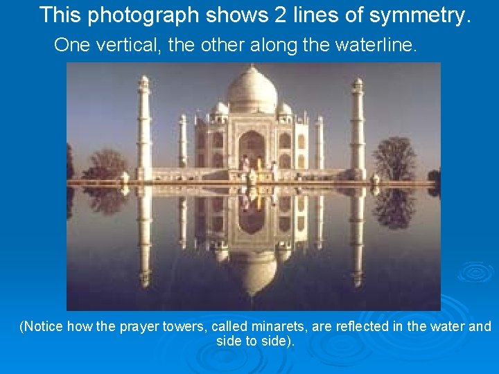 This photograph shows 2 lines of symmetry. One vertical, the other along the waterline.