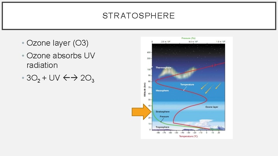 STRATOSPHERE • Ozone layer (O 3) • Ozone absorbs UV radiation • 3 O