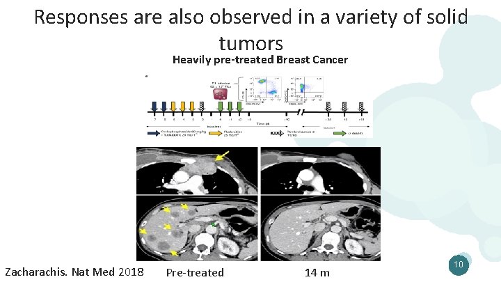 Responses are also observed in a variety of solid tumors Heavily pre-treated Breast Cancer