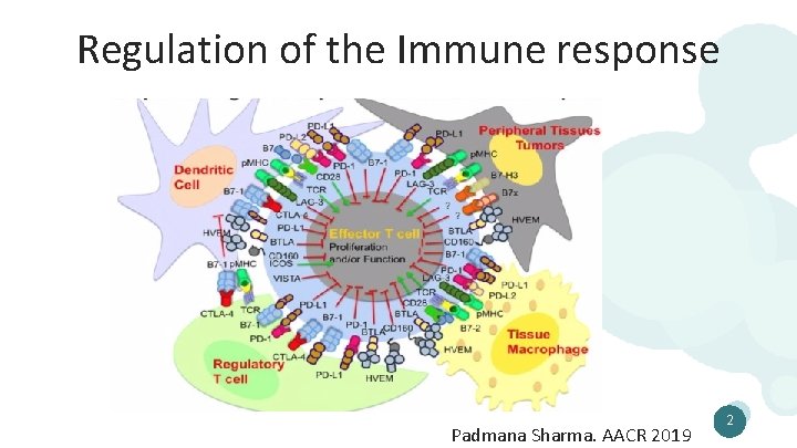 Regulation of the Immune response Padmana Sharma. AACR 2019 2 