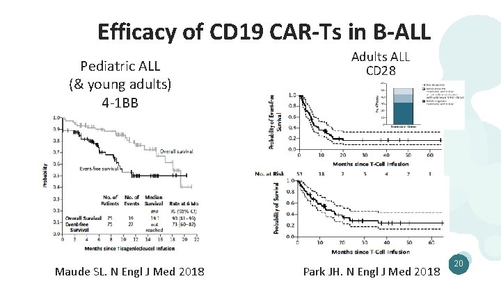 Efficacy of CD 19 CAR-Ts in B-ALL Pediatric ALL (& young adults) 4 -1