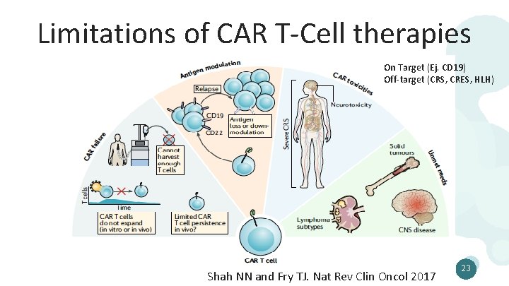 Limitations of CAR T-Cell therapies On Target (Ej. CD 19) Off-target (CRS, CRES, HLH)