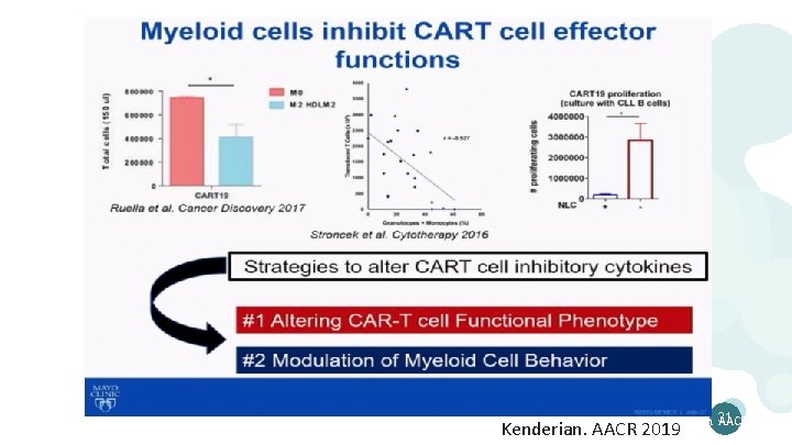 31 Kenderian. AACR 2019 