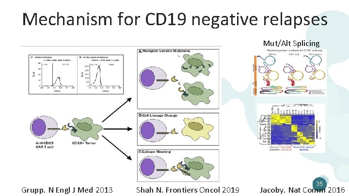 Mechanism for CD 19 negative relapses Mut/Alt Splicing Grupp. N Engl J Med 2013