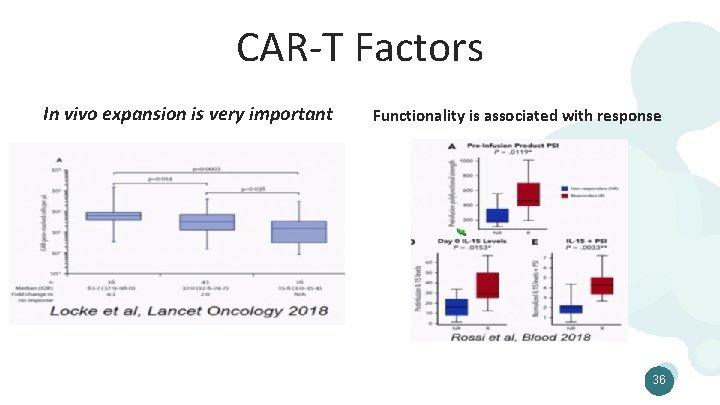 CAR-T Factors In vivo expansion is very important Functionality is associated with response 36