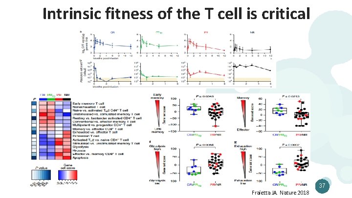 Intrinsic fitness of the T cell is critical Fraietta JA. Nature 2018 37 