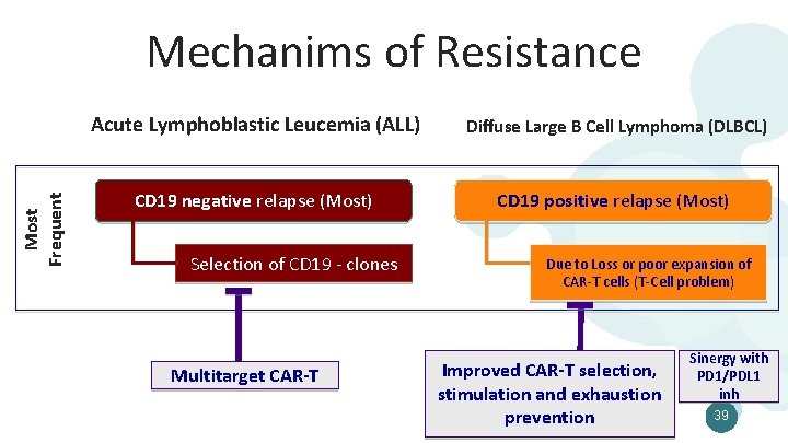 Most Frequent Mechanims of Resistance Acute Lymphoblastic Leucemia (ALL) Diffuse Large B Cell Lymphoma