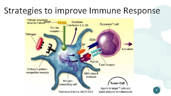 Strategies to improve Immune Response Padmana Sharma. AACR 2019 4 