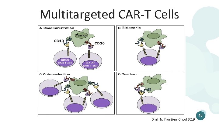 Multitargeted CAR-T Cells Shah N. Frontiers Oncol 2019 40 