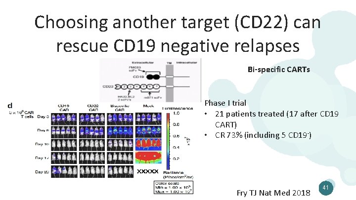 Choosing another target (CD 22) can rescue CD 19 negative relapses Bi-specific CARTs Phase