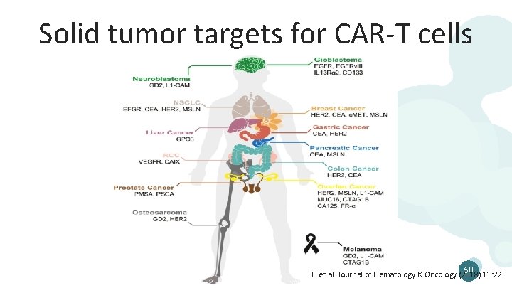 Solid tumor targets for CAR-T cells 50 Li et al. Journal of Hematology &