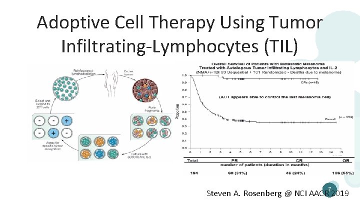 Adoptive Cell Therapy Using Tumor Infiltrating-Lymphocytes (TIL) Steven A. Rosenberg @ NCI AACR 72019