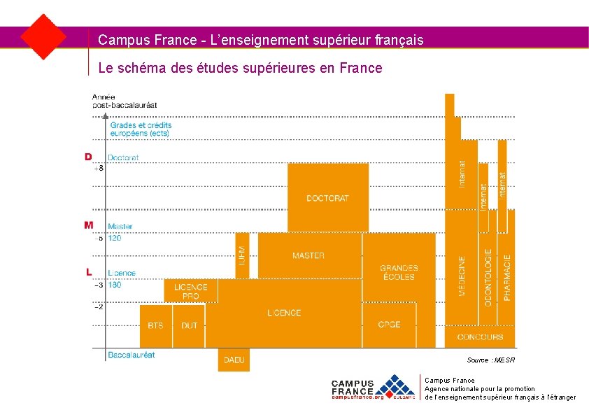 Campus France - L’enseignement supérieur français Le schéma des études supérieures en France Source