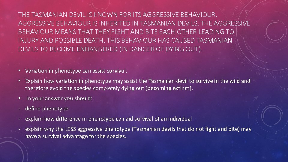 THE TASMANIAN DEVIL IS KNOWN FOR ITS AGGRESSIVE BEHAVIOUR IS INHERITED IN TASMANIAN DEVILS.