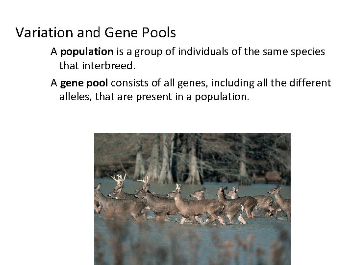 Variation and Gene Pools A population is a group of individuals of the same