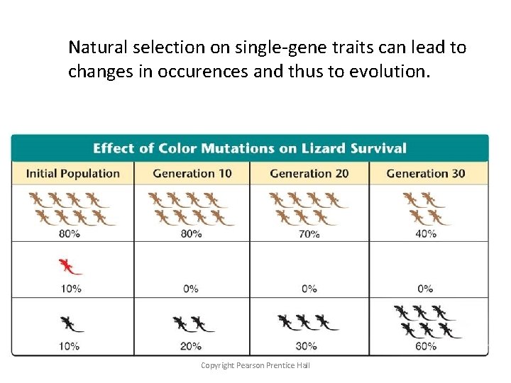 Natural selection on single-gene traits can lead to changes in occurences and thus to