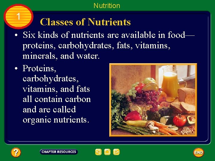 Table of Contents Chapter Nutrients and Digestion Section