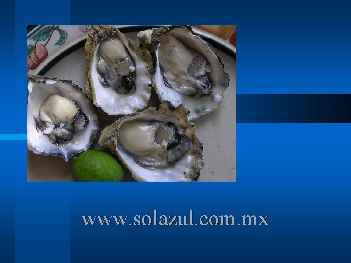 www. solazul. com. mx 