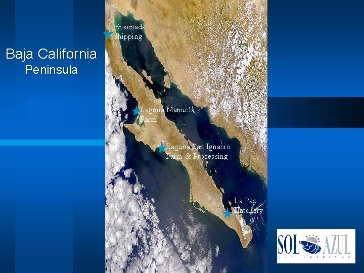 Ensenada shipping Baja California Peninsula Laguna Manuela Farm Laguna San Ignacio Farm & Processing