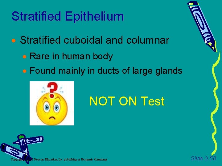 Stratified Epithelium Stratified cuboidal and columnar Rare in human body Found mainly in ducts