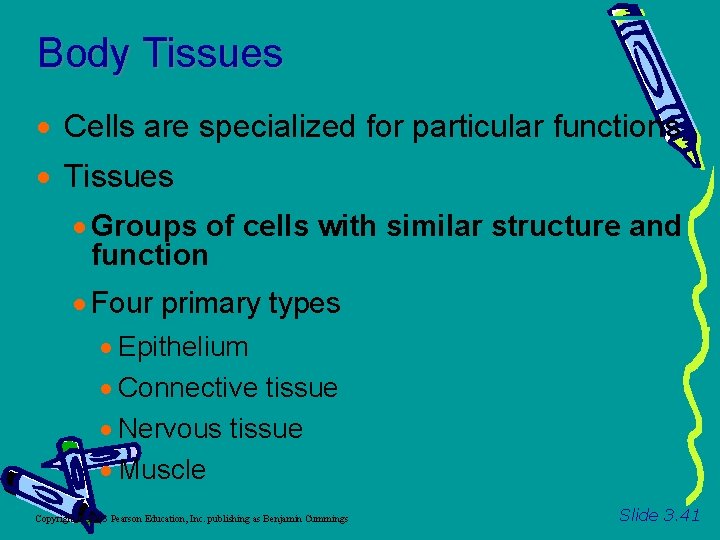 Body Tissues Cells are specialized for particular functions Tissues Groups of cells with similar