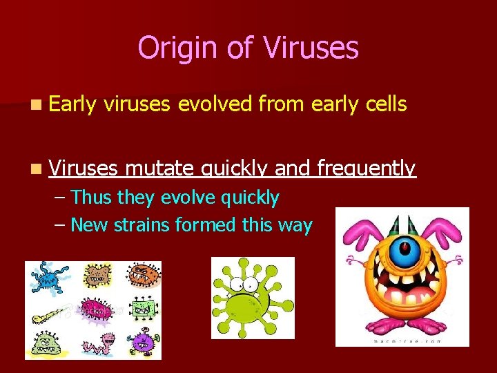 Origin of Viruses n Early viruses evolved from early cells n Viruses mutate quickly