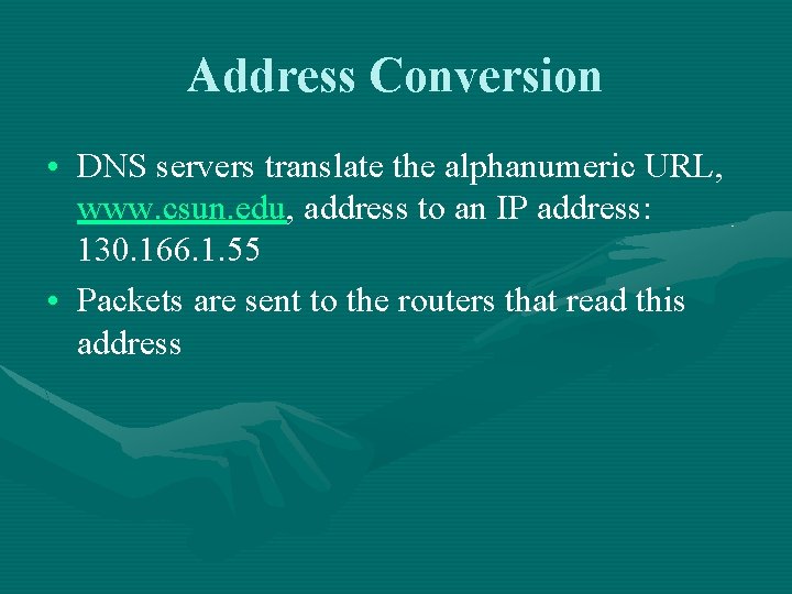 Address Conversion • DNS servers translate the alphanumeric URL, www. csun. edu, address to