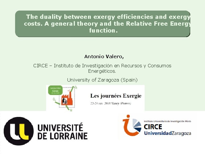 The duality between exergy efficiencies and exergy costs. A general theory and the Relative