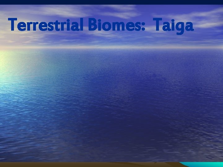 Terrestrial Biomes: Taiga Terrestrial Biome Taiga 