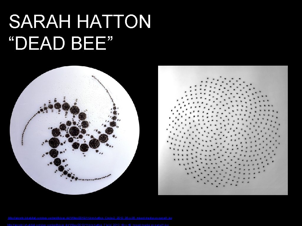 SARAH HATTON “DEAD BEE” http: //assets. inhabitat. com/wp-content/blogs. dir/1/files/2013/11/sm-hatton_Circle-2_2013_36 -x-36_mixed-media-on-panel 1. jpg http: //assets.
