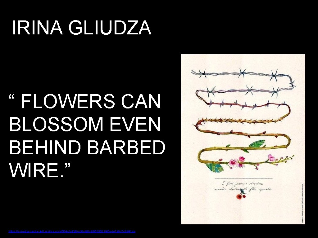 IRINA GLIUDZA “ FLOWERS CAN BLOSSOM EVEN BEHIND BARBED WIRE. ” https: //s-media-cache-ak 0.