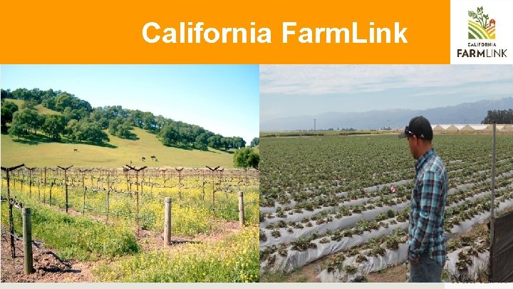 California Farm. Link 12 