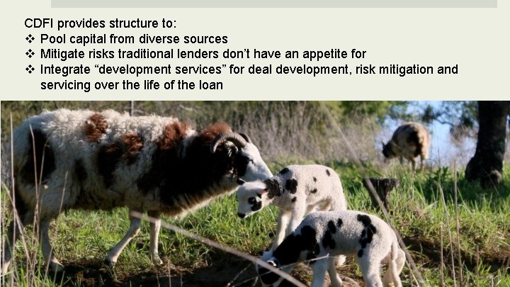 CDFI provides structure to: v Pool capital from diverse sources v Mitigate risks traditional