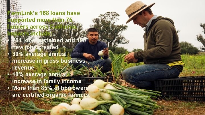 Farm. Link’s 168 loans have Access to Capital supported more than 75 farmers across