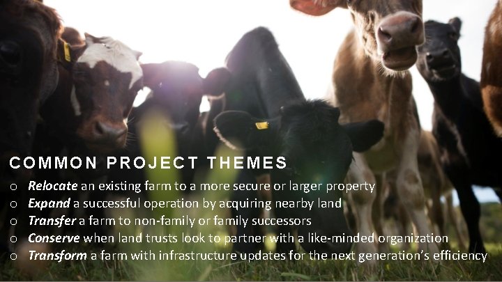 COMMON PROJECT THEMES o o o Relocate an existing farm to a more secure