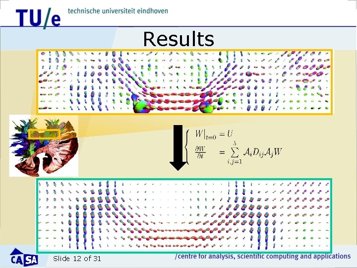 Results Slide 12 of 31 