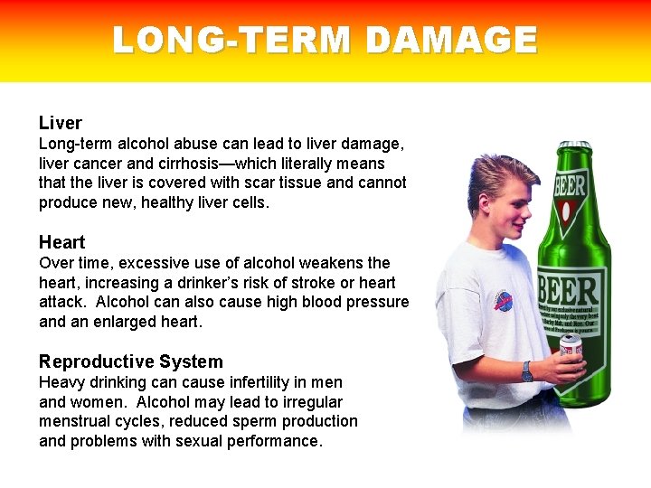 LONG-TERM DAMAGE Liver Long-term alcohol abuse can lead to liver damage, liver cancer and
