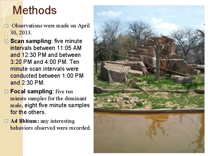 Methods � Observations were made on April 30, 2013. Scan sampling: five minute intervals