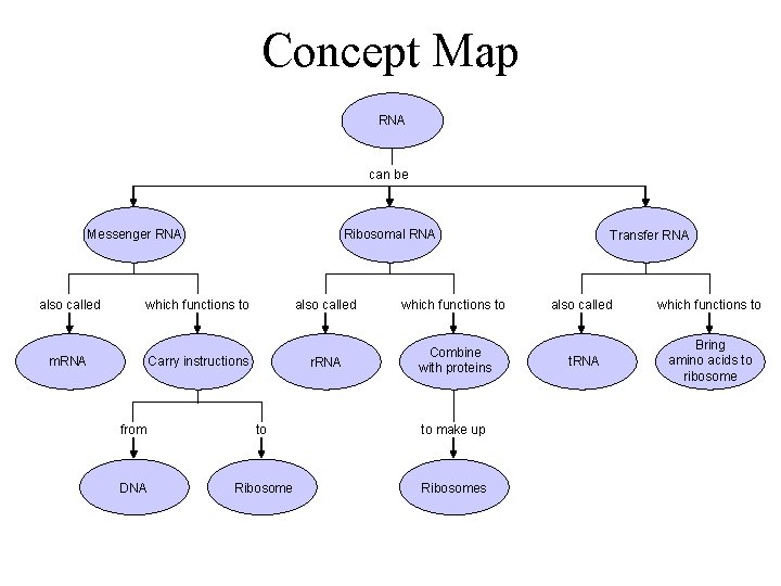 Concept Map Section 12 -3 RNA can be Messenger RNA also called which functions