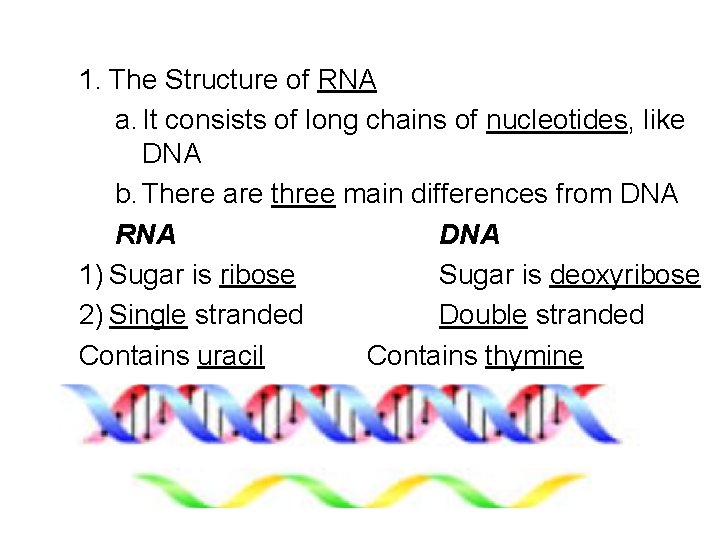 1. The Structure of RNA a. It consists of long chains of nucleotides, like