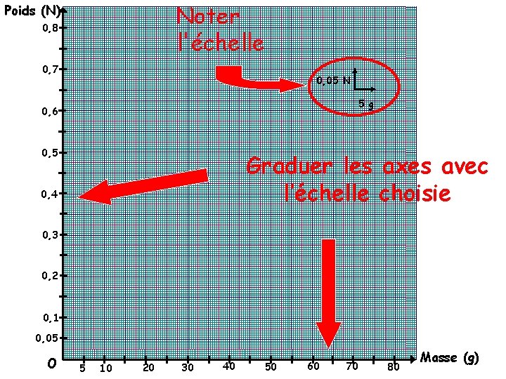 Noter l'échelle Poids (N) 0, 8 0, 7 0, 05 N 5 g 0,