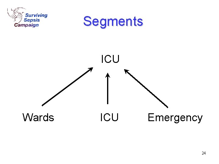 Segments ICU Wards ED ICU Emergency 24 Segments ICU Wards ED ICU Emergency 24
