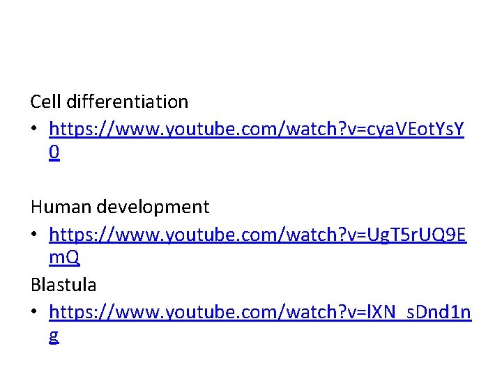 Cell differentiation • https: //www. youtube. com/watch? v=cya. VEot. Ys. Y 0 Human development