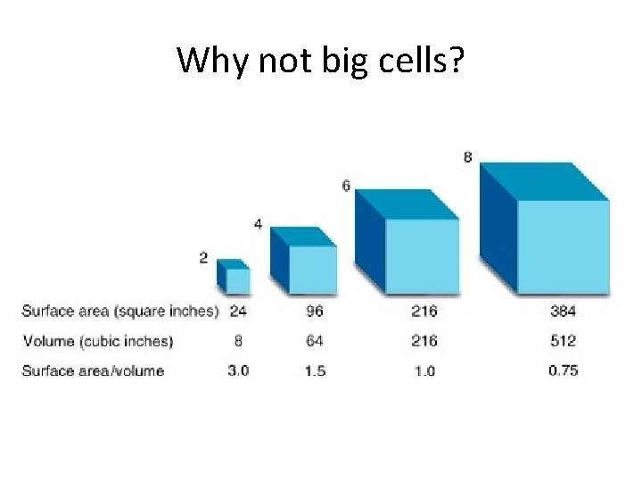 Why not big cells? 