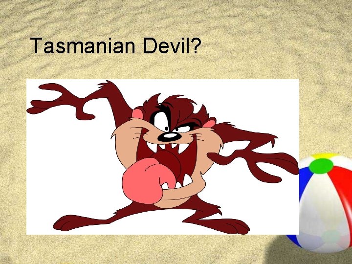 Tasmanian Devil? Tasmanian Devil?