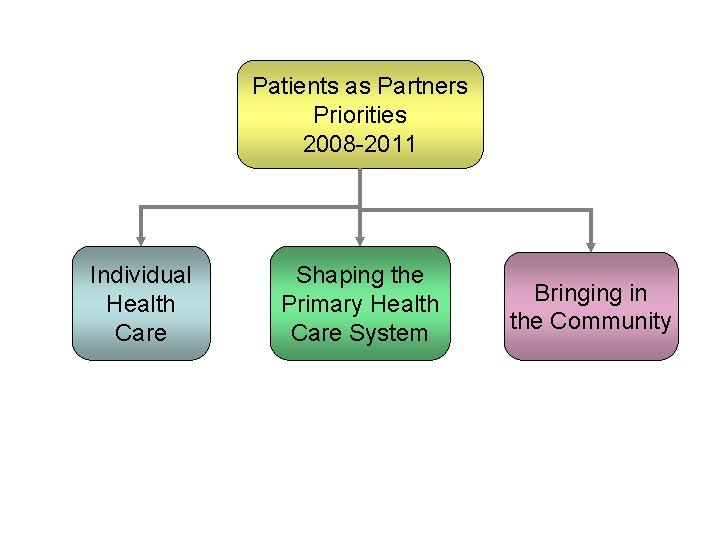 Patients as Partners Priorities 2008 -2011 Individual Health Care Shaping the Primary Health Care Patients as Partners Priorities 2008 -2011 Individual Health Care Shaping the Primary Health Care