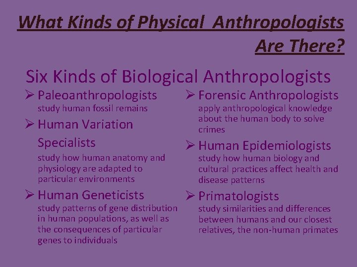 What Kinds of Physical Anthropologists Are There? Six Kinds of Biological Anthropologists Ø Paleoanthropologists