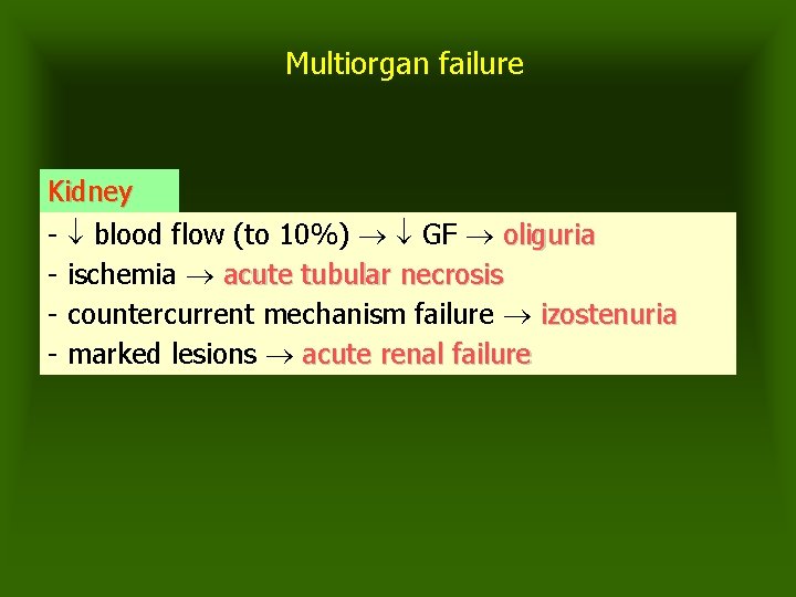 Multiorgan failure Kidney - blood flow (to 10%) GF oliguria - ischemia acute tubular