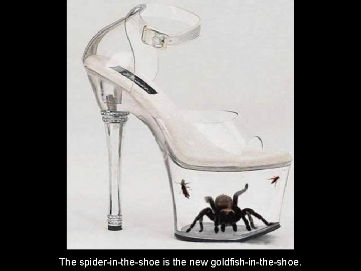 The spider-in-the-shoe is the new goldfish-in-the-shoe. 